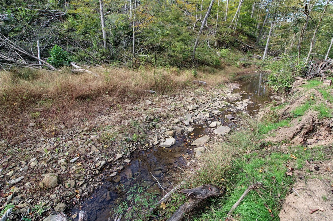 Cow Run Road Property Photo 7