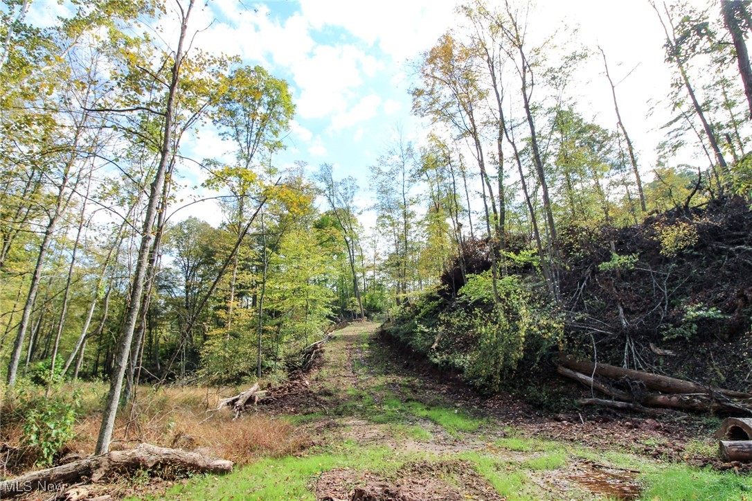 Cow Run Road Property Photo 10