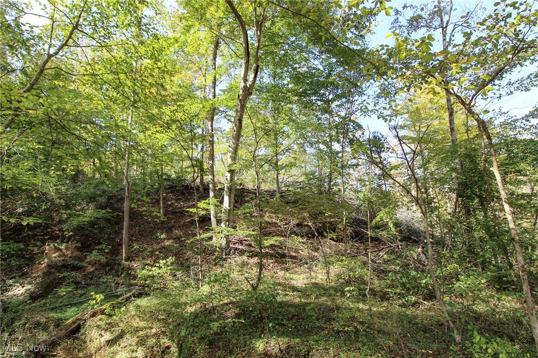 Cow Run Road Property Photo 11