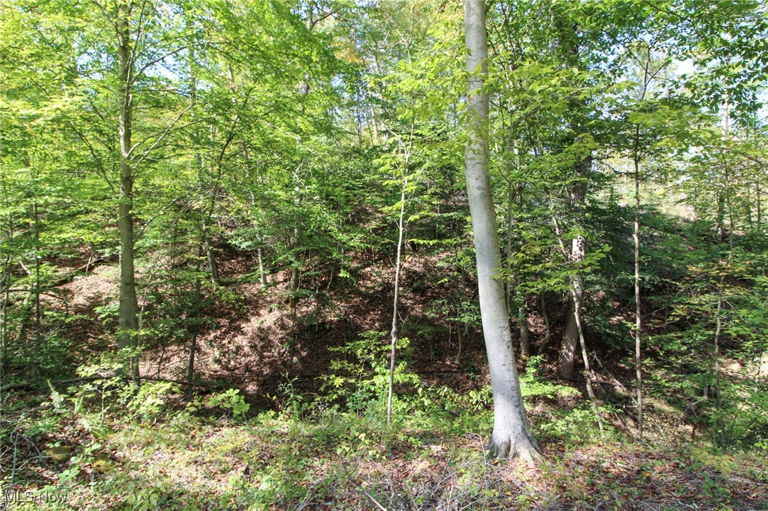 Cow Run Road Property Photo 12