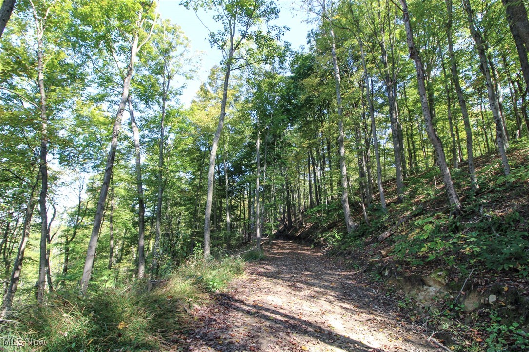 Lot 1 Brooks Road Property Photo 4