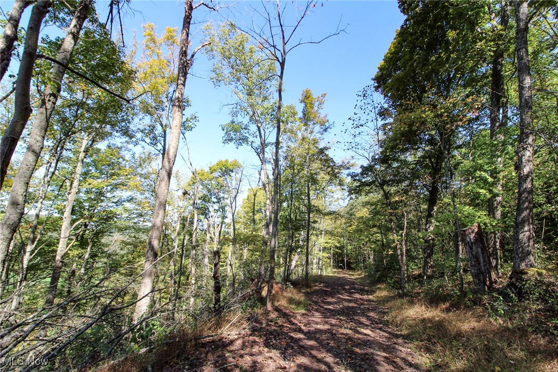 Lot 1 Brooks Road Property Photo 6