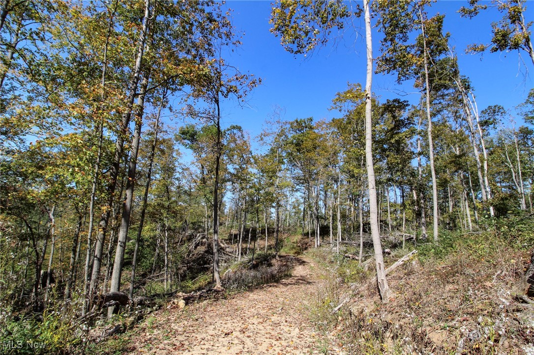 Lot 1 Brooks Road Property Photo 8