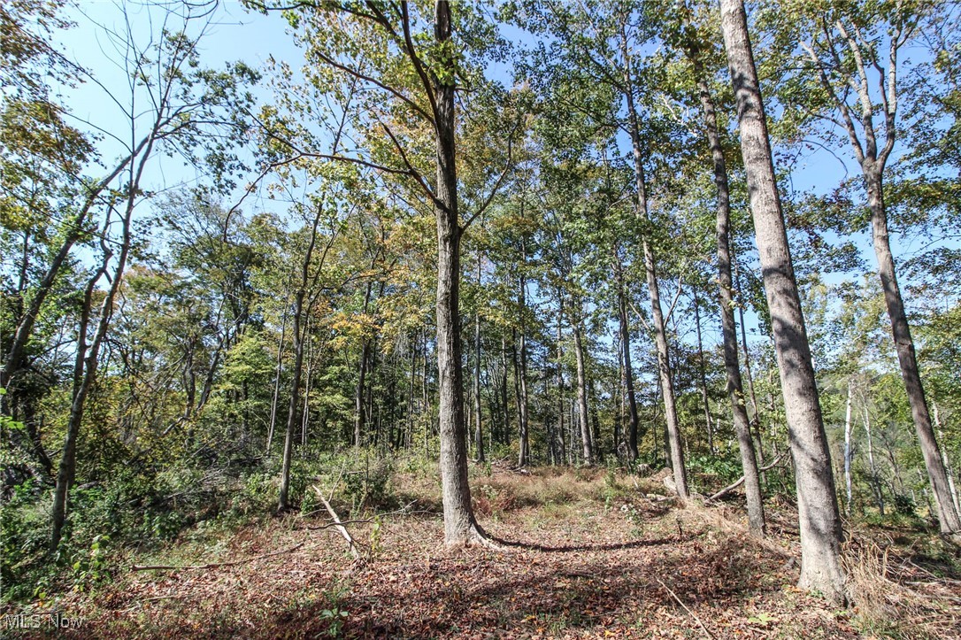 Lot 1 Brooks Road Property Photo 10