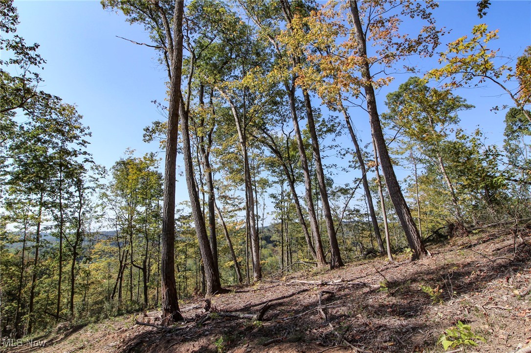 Lot 1 Brooks Road Property Photo 14