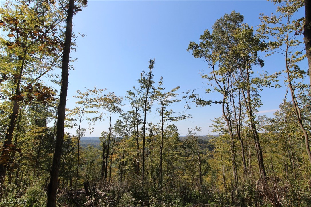 Lot 1 Brooks Road Property Photo 16