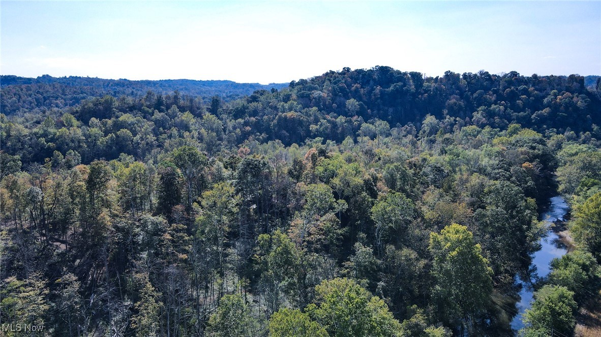 Lot 1 Brooks Road Property Photo 19