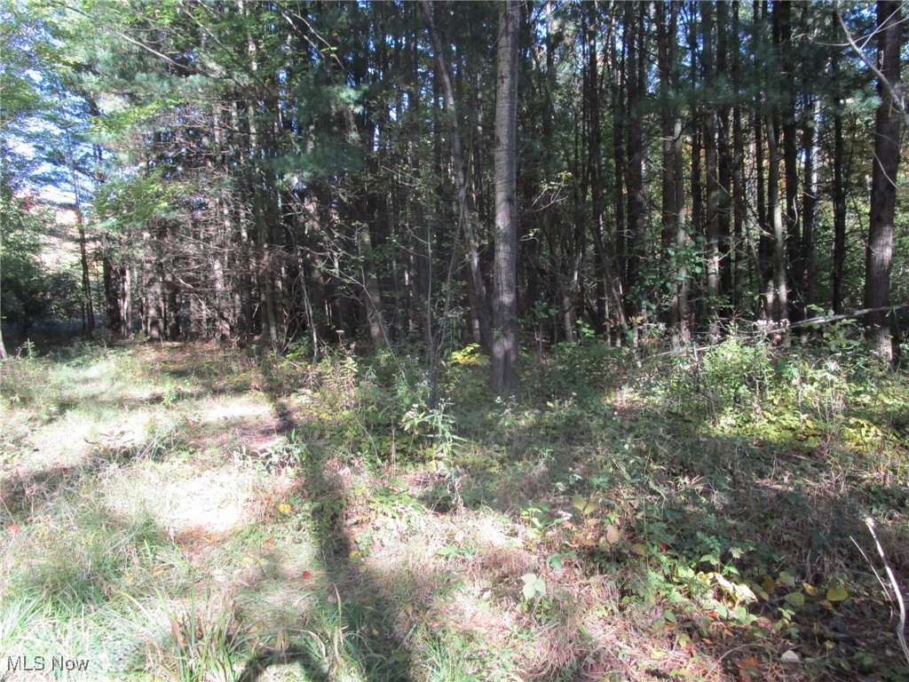 5810 Dewey Road Property Photo 11