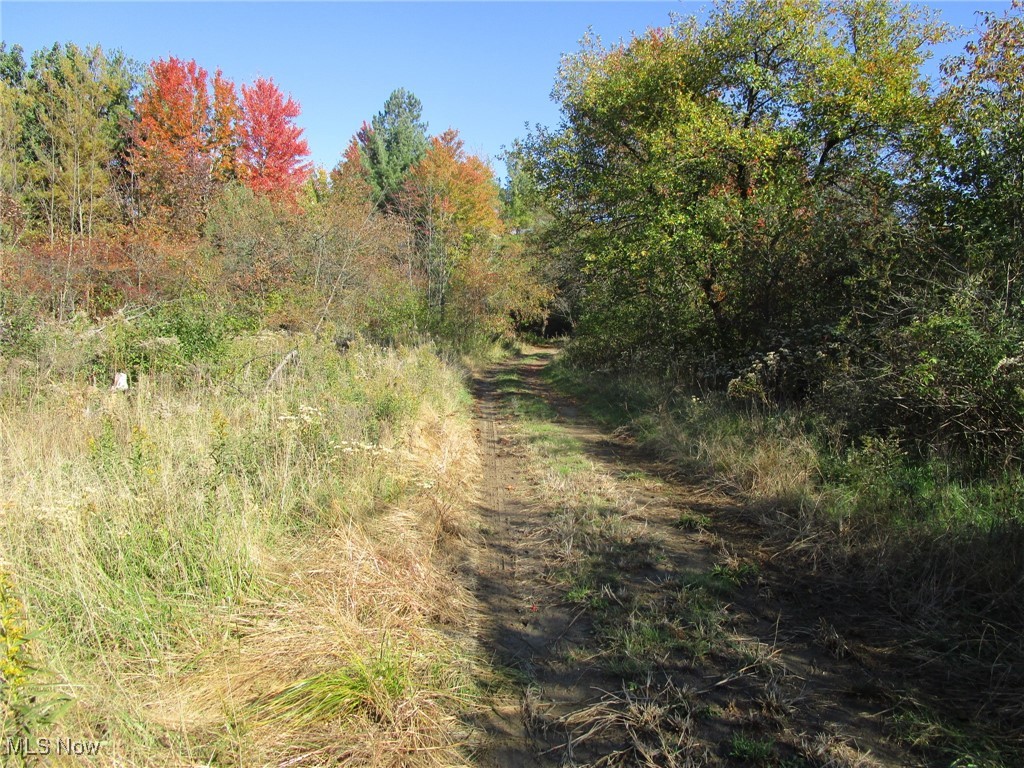 5810 Dewey Road Property Photo 14