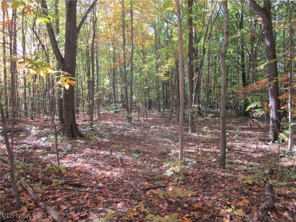 5810 Dewey Road Property Photo 20