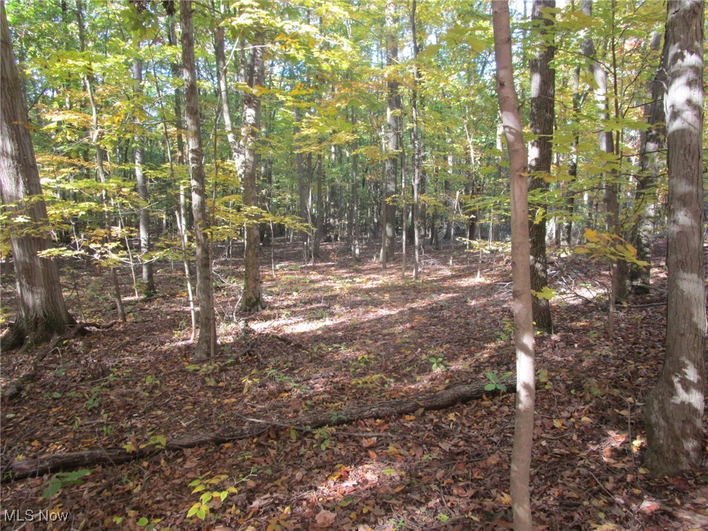 5810 Dewey Road Property Photo 22