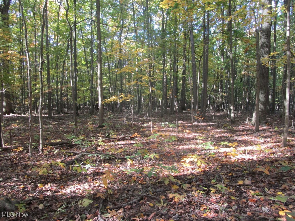 5810 Dewey Road Property Photo 24