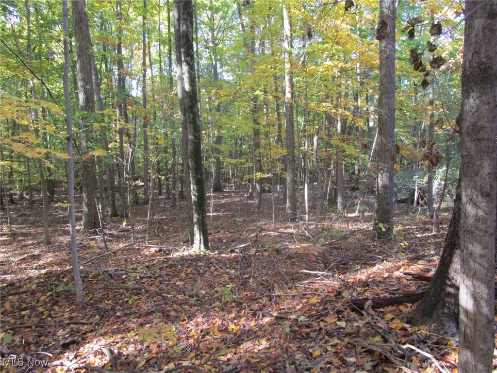 5810 Dewey Road Property Photo 25