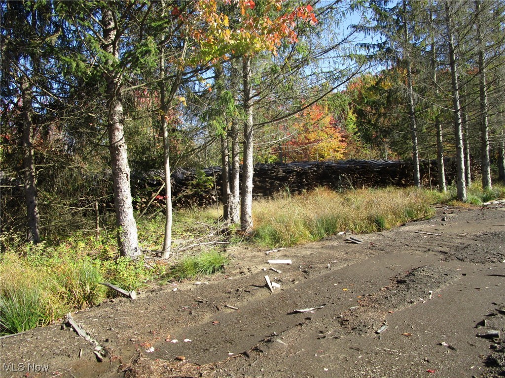 5810 Dewey Road Property Photo 40