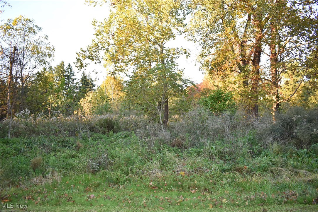 Old Weymouth Road Property Photo 3