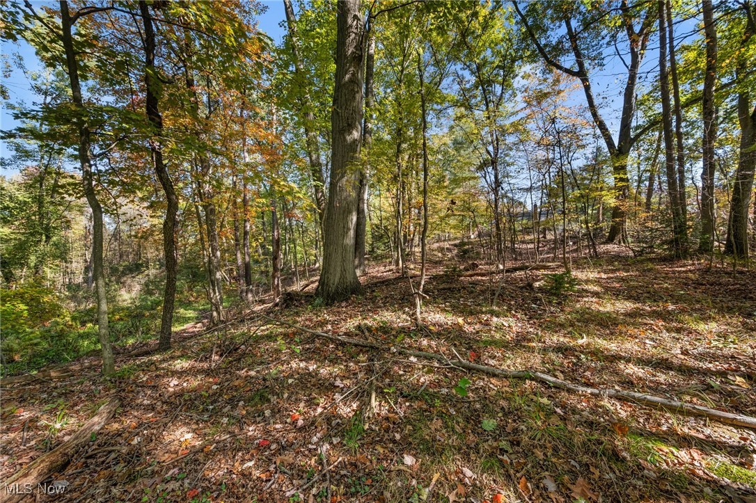 W Comet Road Property Photo 4