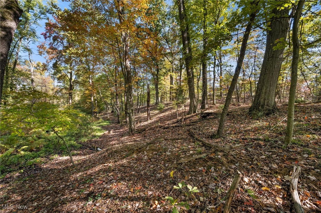 W Comet Road Property Photo 5