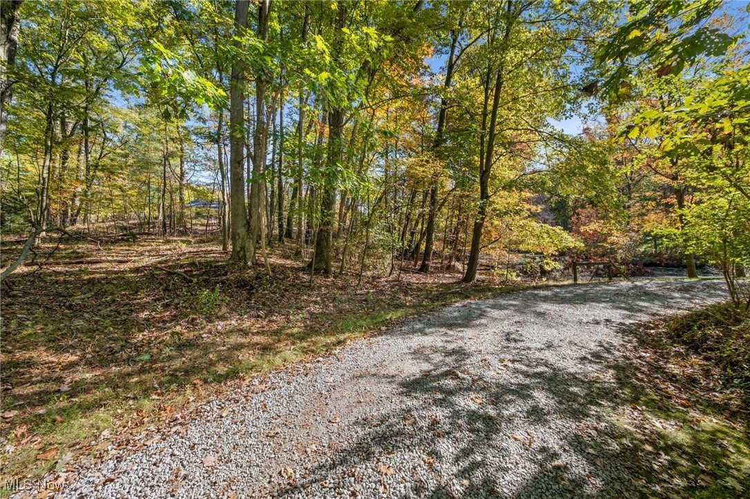 W Comet Road Property Photo 6