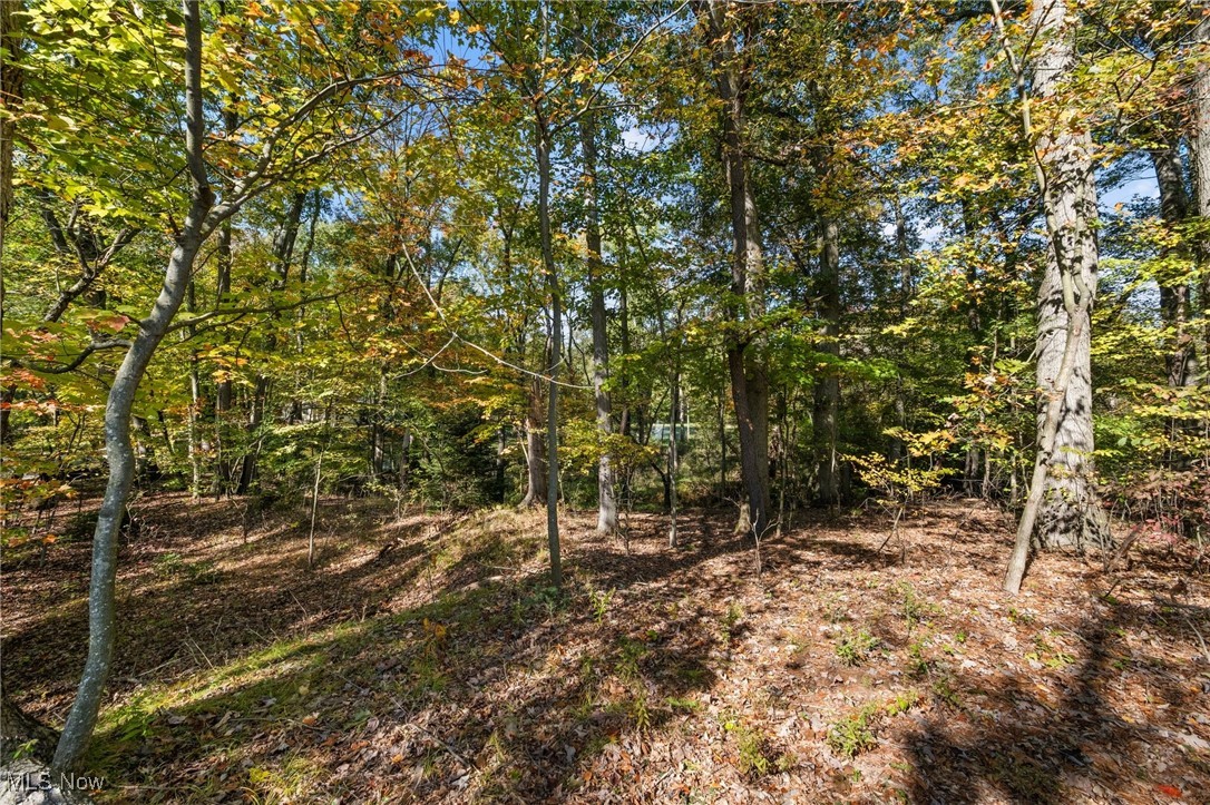 W Comet Road Property Photo 7