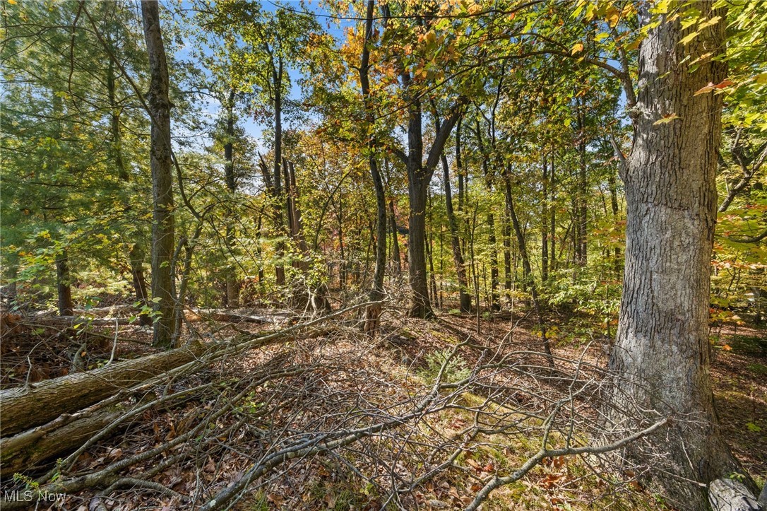 W Comet Road Property Photo 8