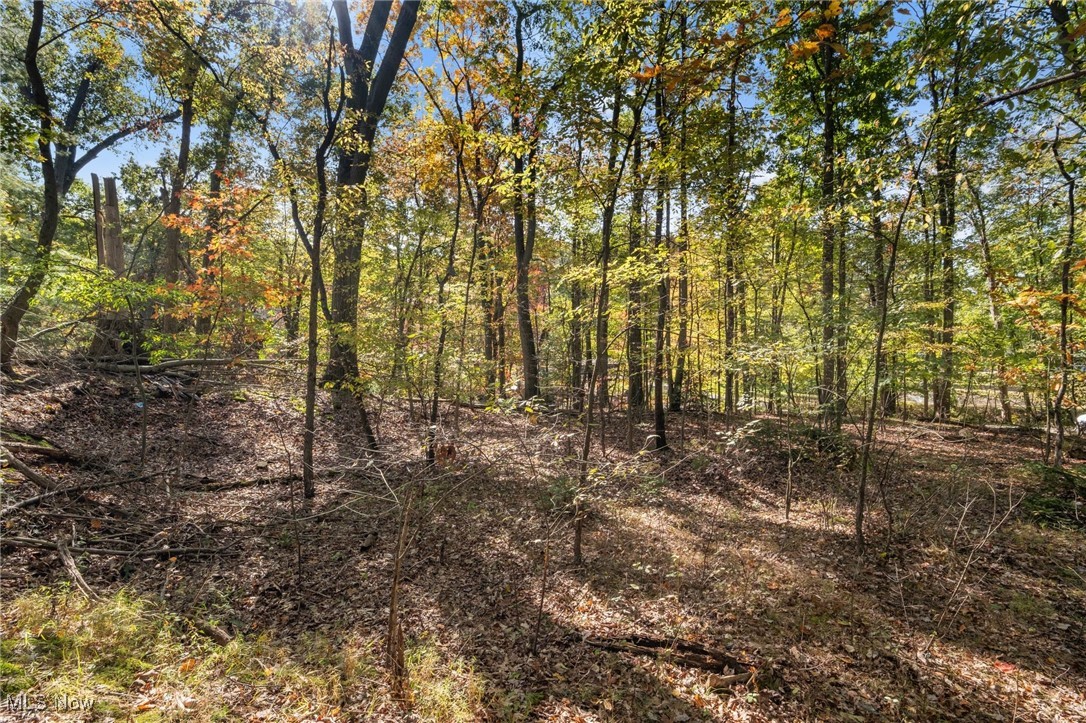 W Comet Road Property Photo 9