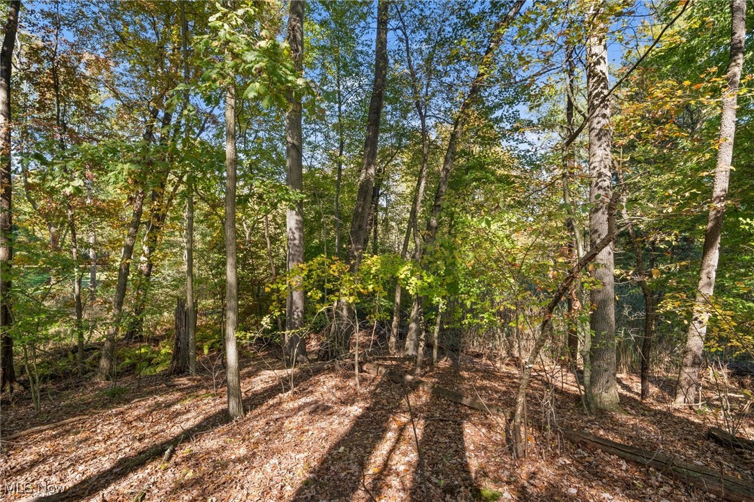 W Comet Road Property Photo 10