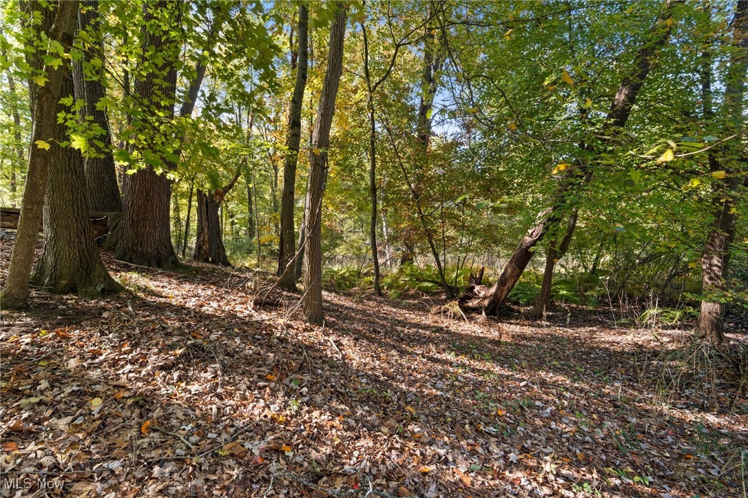 W Comet Road Property Photo 11