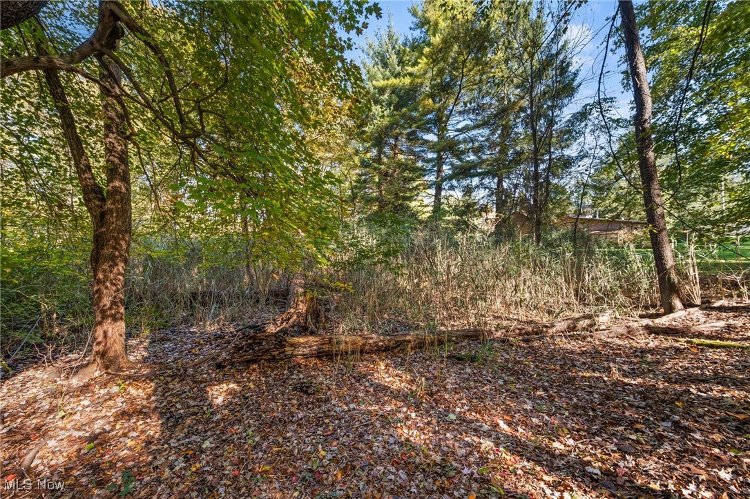 W Comet Road Property Photo 12
