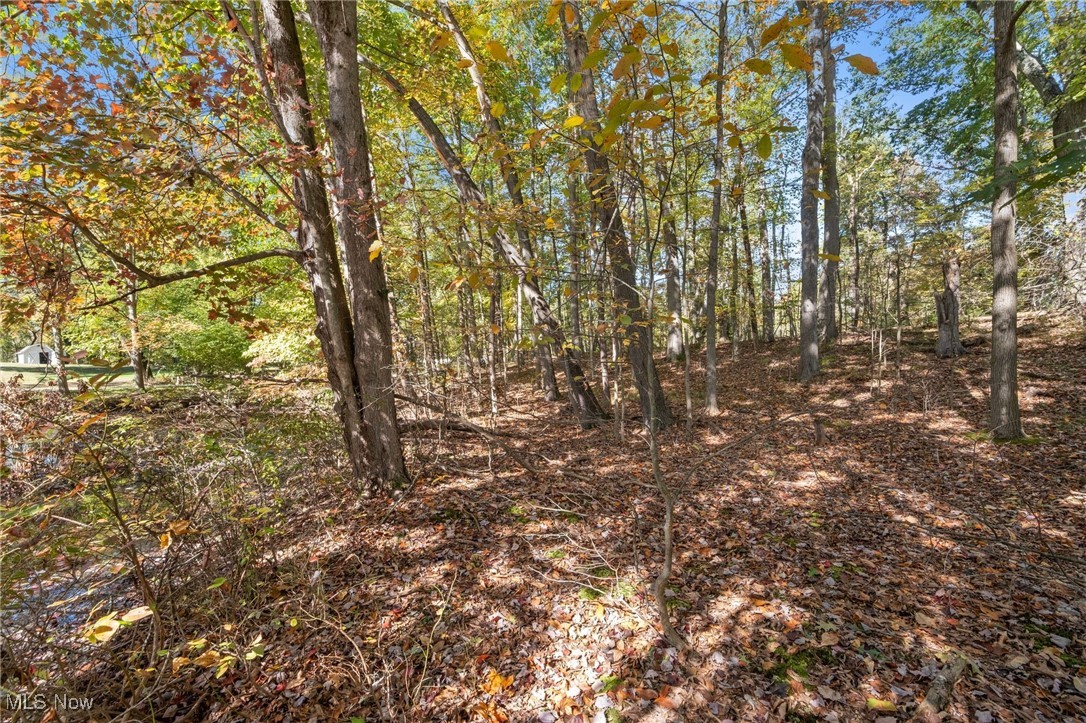 W Comet Road Property Photo 17