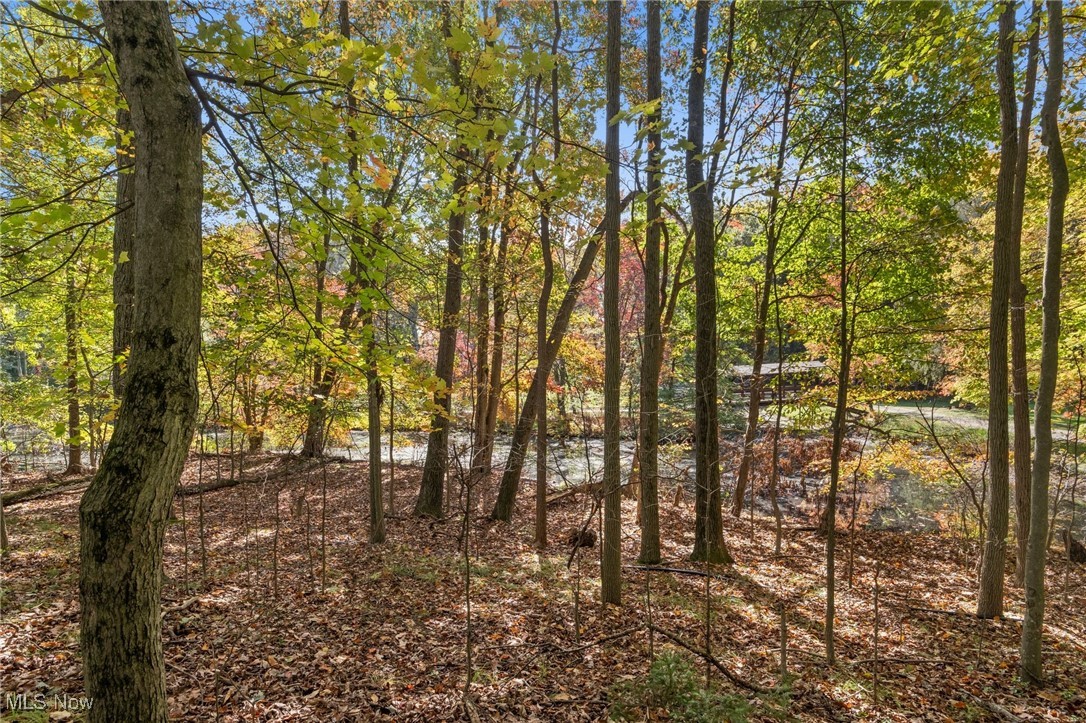 W Comet Road Property Photo 23