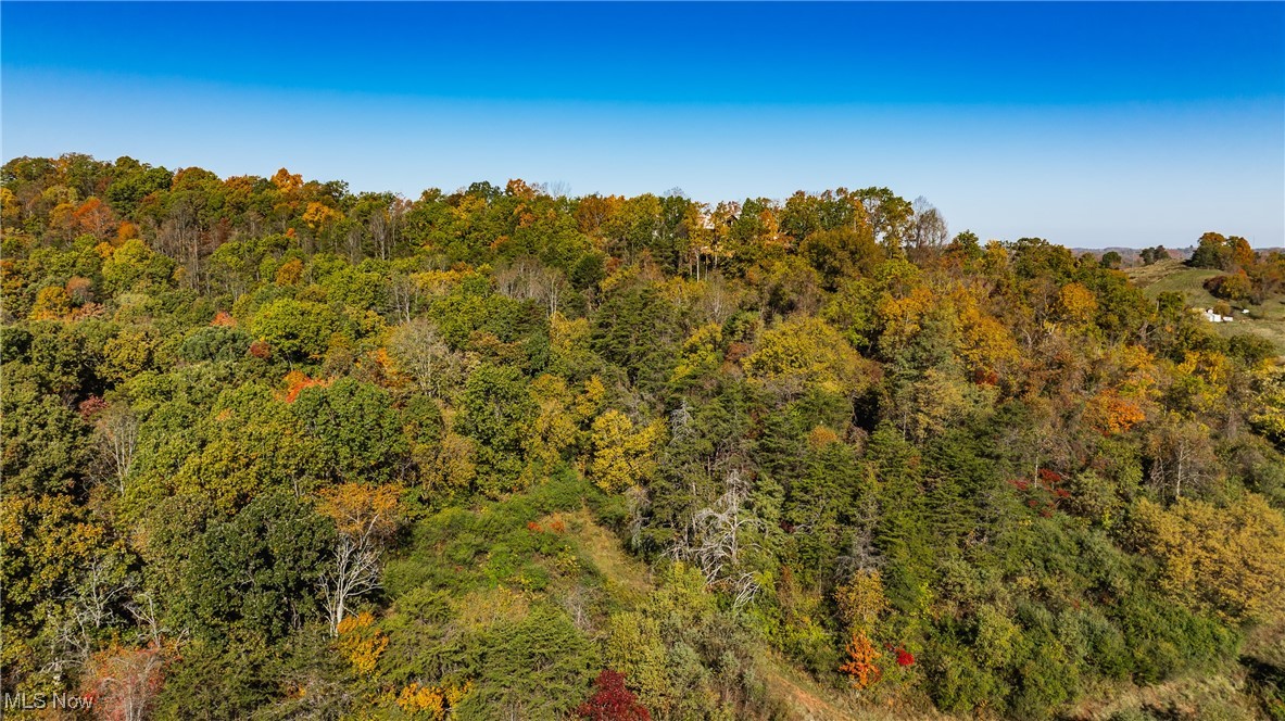 Oak Grove Road Property Photo 11
