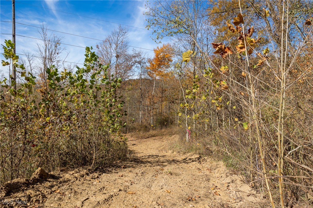 69931 Leeper Street Property Photo 3