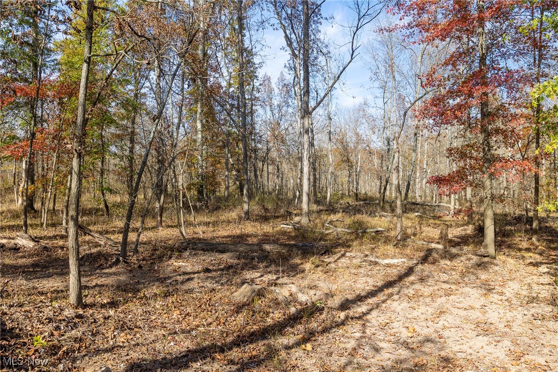 69931 Leeper Street Property Photo 8