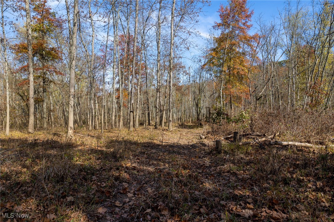 69931 Leeper Street Property Photo 14