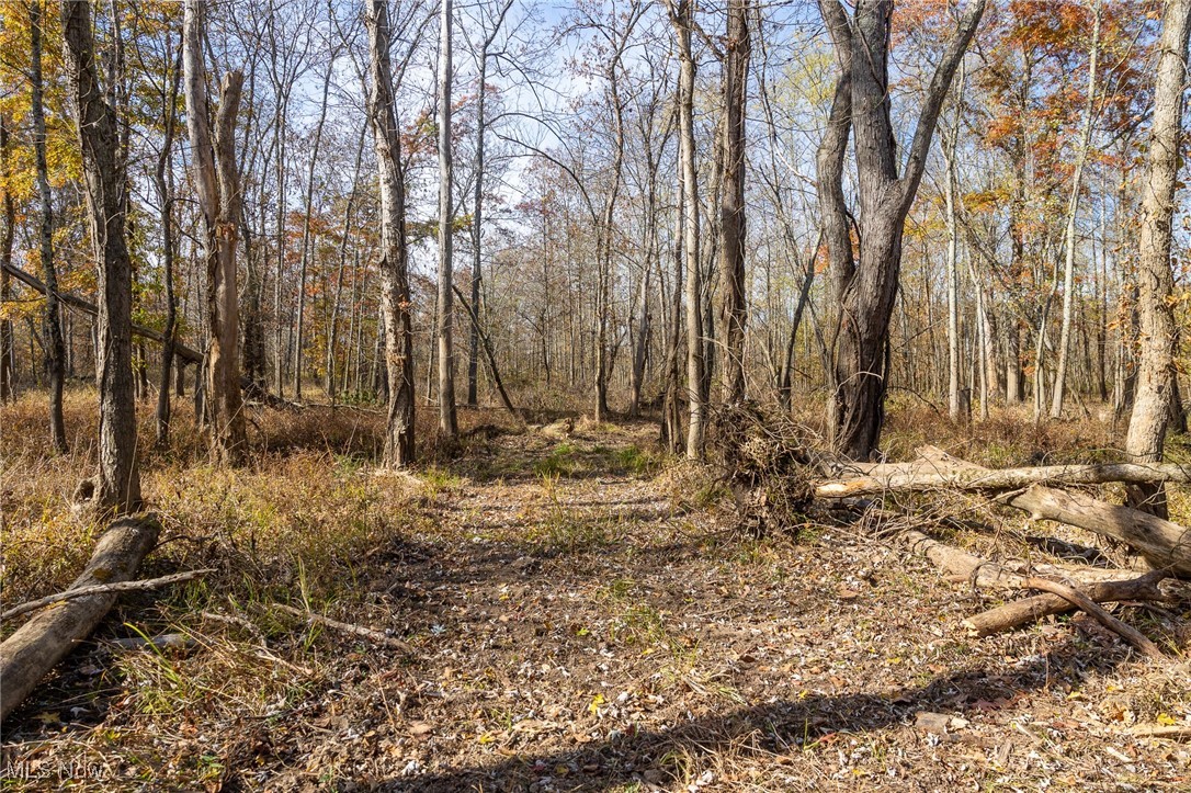 69931 Leeper Street Property Photo 15
