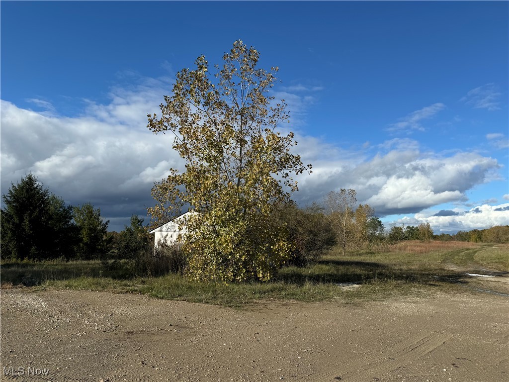 10656 Kinsman Road Property Photo 3