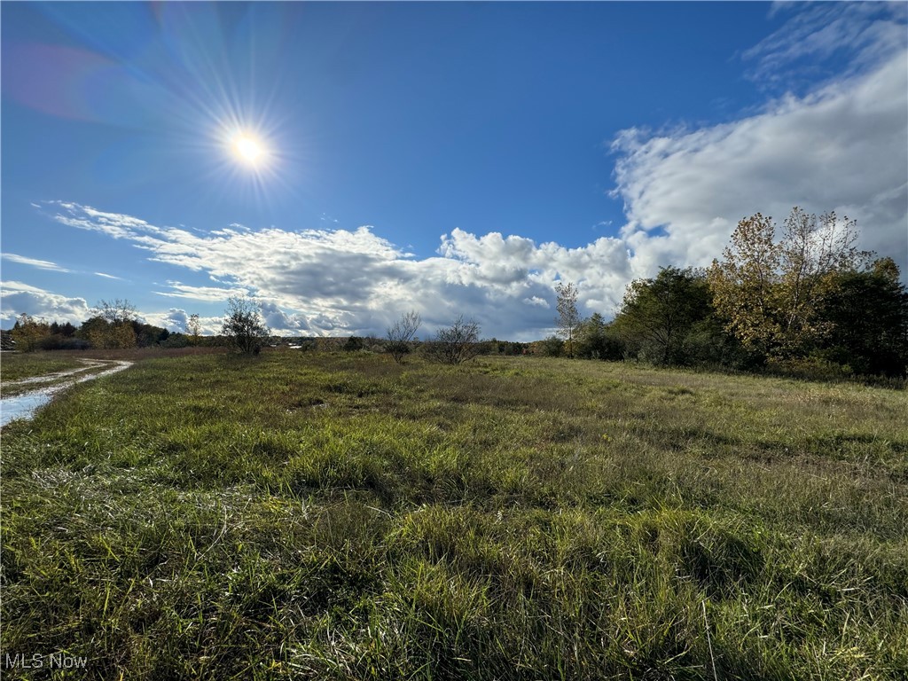 10656 Kinsman Road Property Photo 7