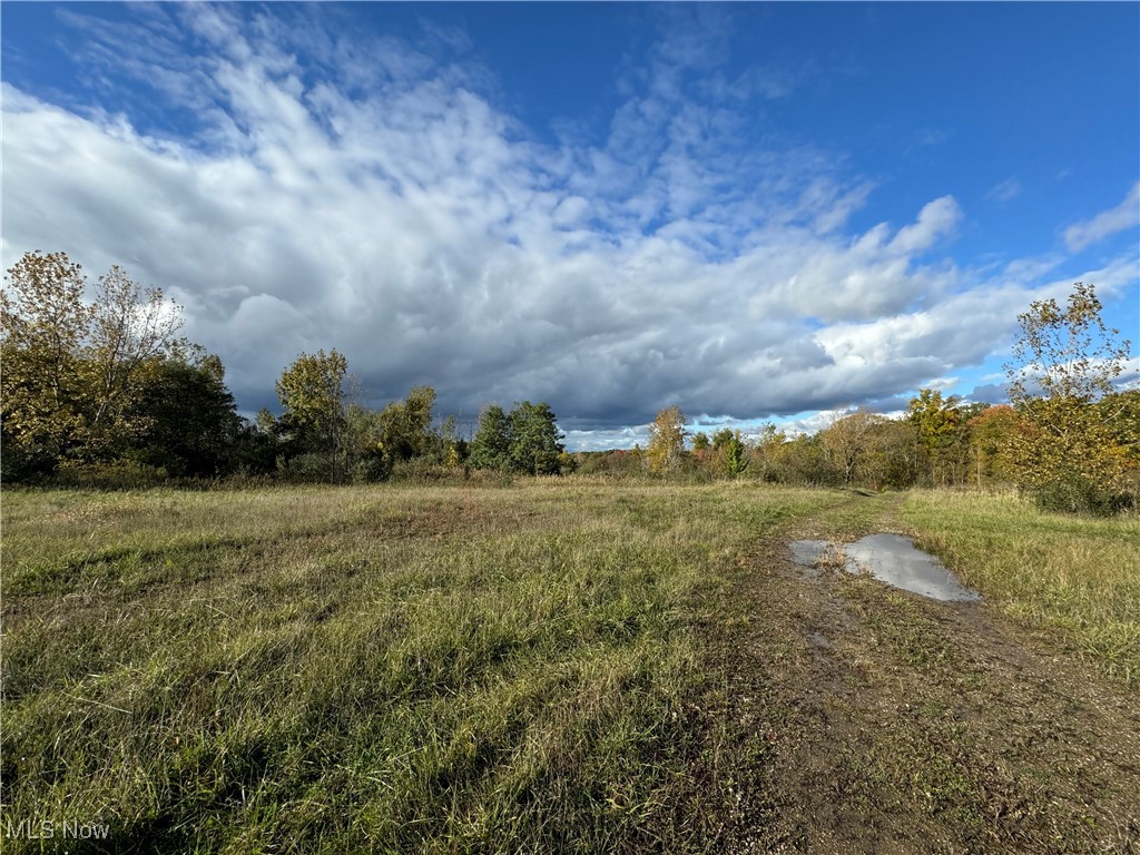 10656 Kinsman Road Property Photo 8