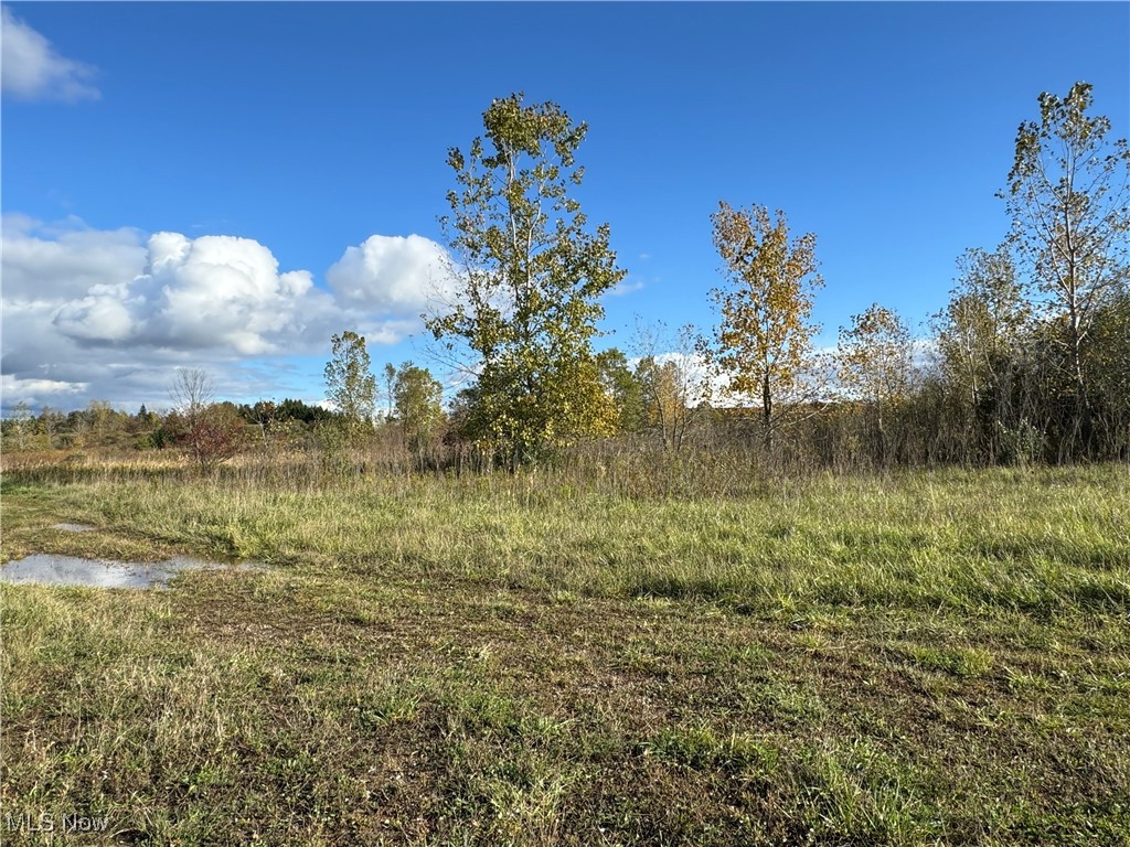 10656 Kinsman Road Property Photo 9