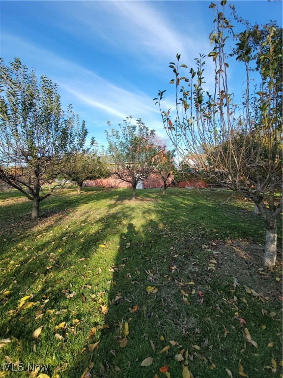 Vl Broad Street Property Photo 6