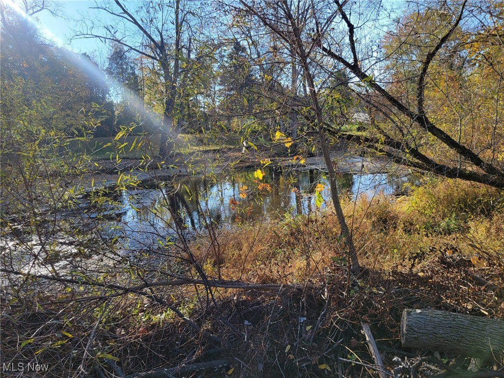 East Avenue Property Photo 4