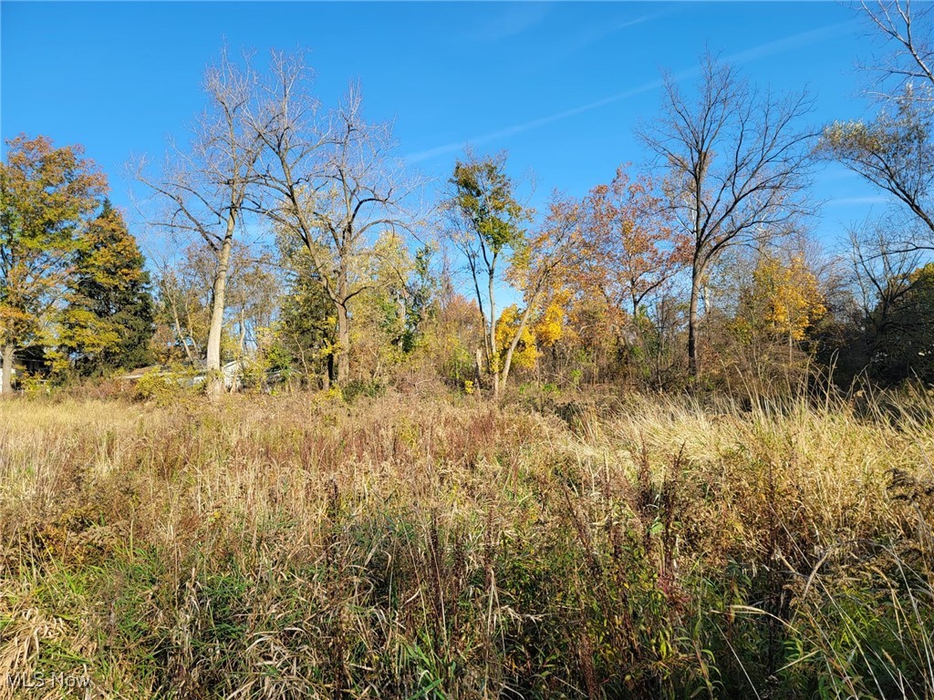 East Avenue Property Photo 8