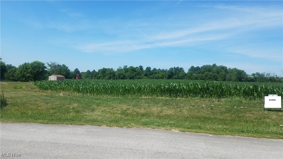 Lot 7 Wheeler Road Property Photo 2