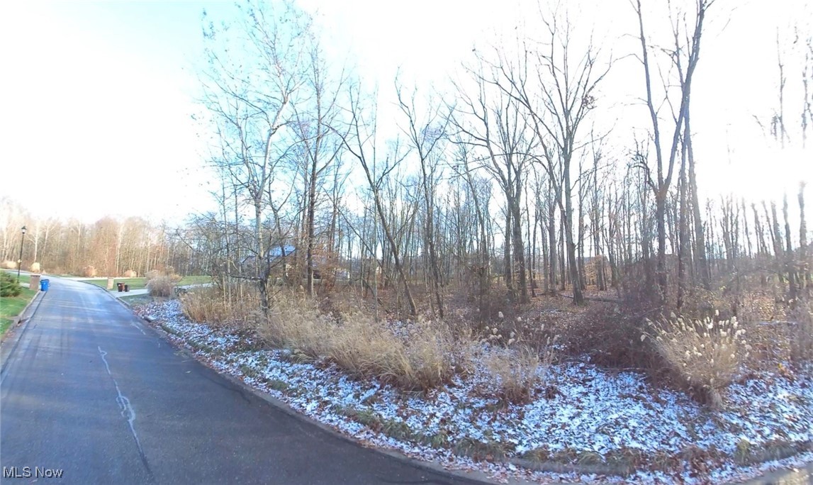 643 Saddlebrook Drive Property Photo 4