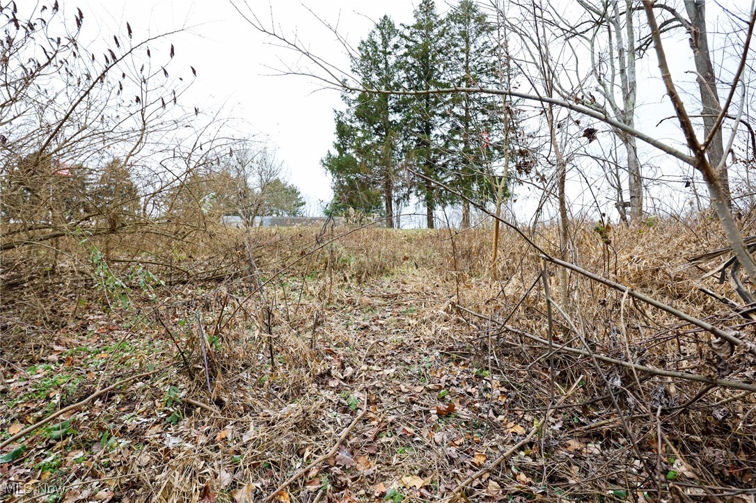6500 Kings Ridge Road Property Photo 16