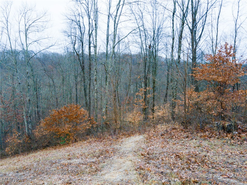 6500 Kings Ridge Road Property Photo 19