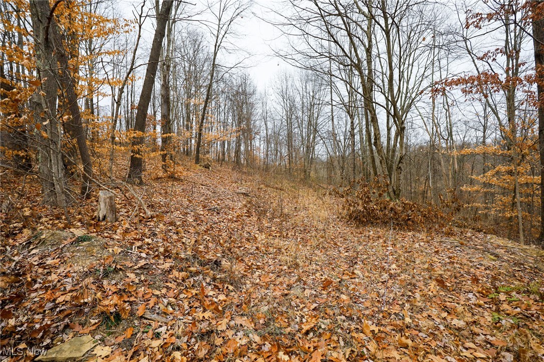 6500 Kings Ridge Road Property Photo 20