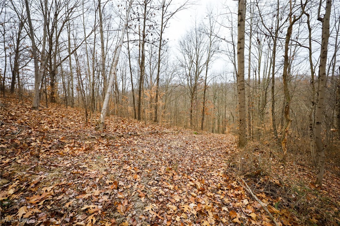 6500 Kings Ridge Road Property Photo 22