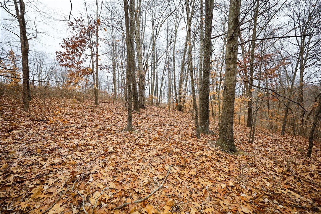 6500 Kings Ridge Road Property Photo 23