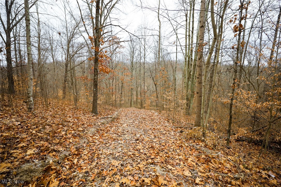 6500 Kings Ridge Road Property Photo 24